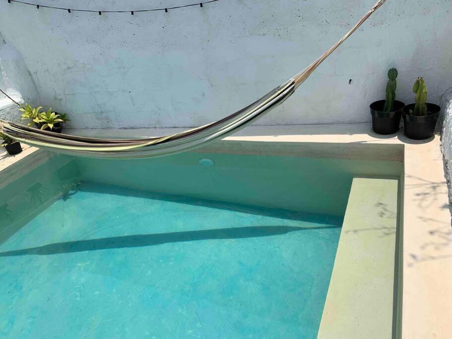 Casita Azul Colonial En El Centro De Merida. 外观 照片