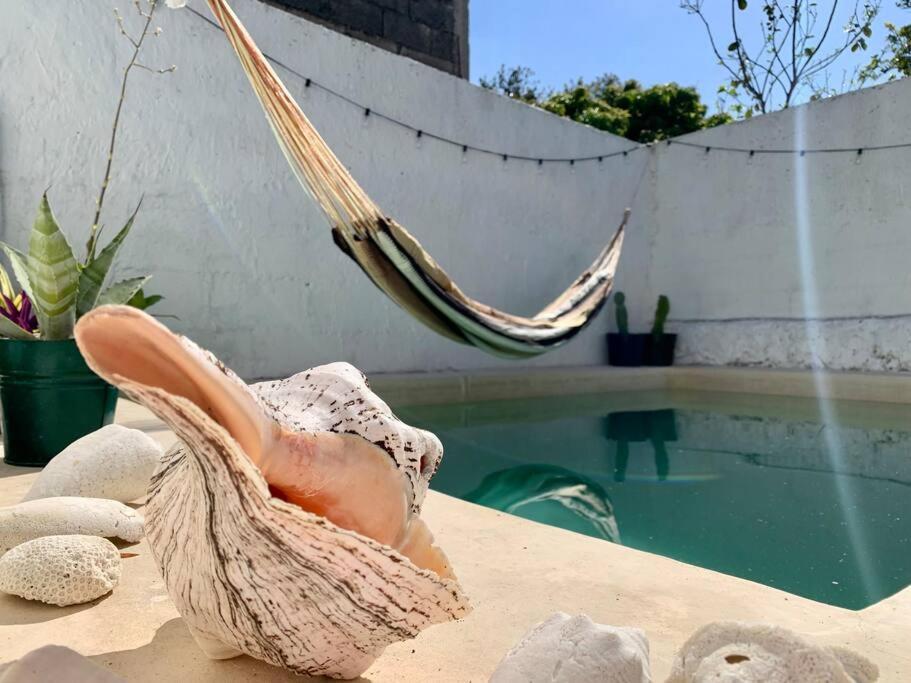 Casita Azul Colonial En El Centro De Merida. 外观 照片