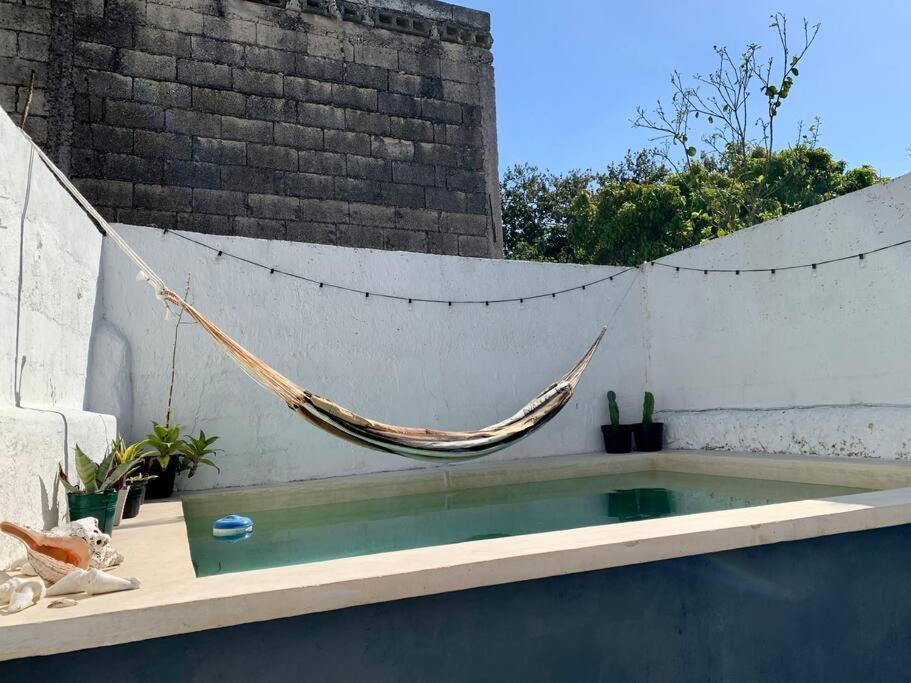 Casita Azul Colonial En El Centro De Merida. 外观 照片