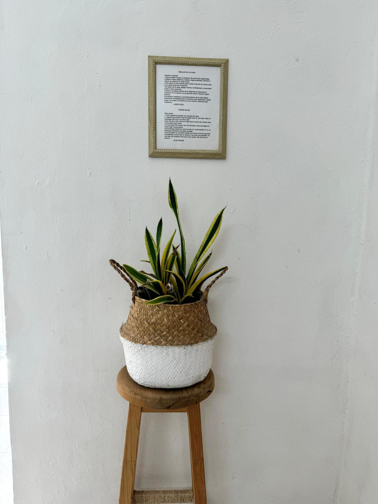 Casita Azul Colonial En El Centro De Merida. 外观 照片